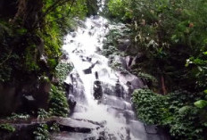 Cocok untuk Liburan Keluarga! Berikut 7 Tempat Wisata Terbaru di Subang