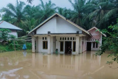 Ini yang Harus Dilakukan Saat Terjadi Bencana Hidrometeorologi 