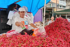 Harga Cabai Merah Mulai Turun,  Pemkot Imbau Warga Belanja Bijak