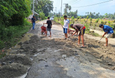 Miris! Jalan Provinsi di Kabupaten Kaur 20 Tahun Tak Tersentuh Perbaikan