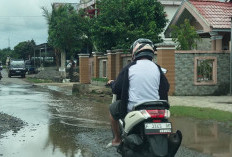 Awas Bahaya Banjir Mengancam