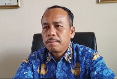 Harga TBS di Bengkulu Utara Turun Setiap Hari, Disbun Konfirmasi Seluruh Pabrik, Bakal Bawa ke Rapat Provinsi 