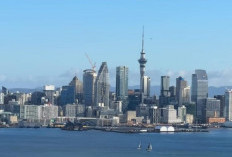 Fakta Unik Selandia Baru, Negara yang Pernah Punya Menteri Urusan Domba