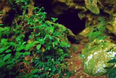 Destinasi Healing dan Instagramable! Berikut 3 Fakta Wisata Goa Liang Hadangan di Kalimantan Selatan