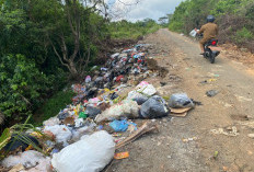  Identitas Oknum ASN Pembuang Sampah di Tepi Jalan Belum Diketahui
