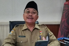 Pemprov Targetkan 20 Ribu Pohon Tertanam Akhir Desember 