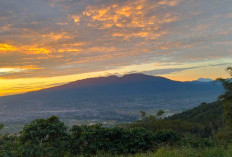 Bukit Basah, Pesona Alam Rejang Lebong yang Sarat Makna dan Sejarah