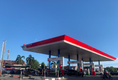 Biosolar dan Dexlite Sulit di Bengkulu: Masalah Lawas Belum Kunjung Diselesaikan Pertamina 
