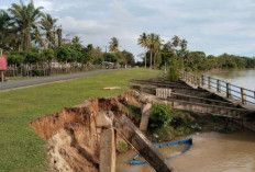 Hujan Angin dan Petir, Waspada Ancaman Bencana di Mukomuko