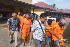  Polisi Amankan 12 Tsk Selama Operasi Musang di Bengkulu Utara