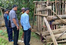 RSKJ Soeprapto Bengkulu Evakuasi ODGJ di Krangkeng  