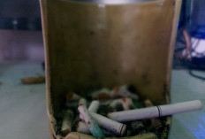 Jangan Dibuang! Ternyata Puntung Rokok Memiliki Segudang Manfaat, Salah Satunya Bisa Disulap Menjadi Pestisid