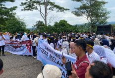 Seleksi PPPK Tak Kunjung Jelas, Honorer Seluma Siap Gelar Aksi Lanjutan, Pj Sekda Tak Diterima Massa 