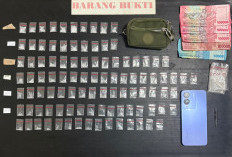 Perempuan Pembawa 100 Paket Sabu Ditangkap, Polisi Buru Bandar Pemasok