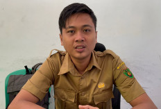 Pelantikan 1.200 PPPK Paruh Waktu, BKPSDM Bengkulu Selatan Tunggu Ini