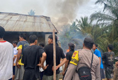 Santai Duduk Sore, Rumah Warga Gunung Mesir Seluma Dilahap Api, Kerugian Capai Rp300 Juta