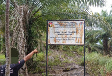 Ternyata Alih Fungsi Kawasan Hutan di Sungai Rumbai Telah Berlangsung Lama, Berikut Indikasinya 