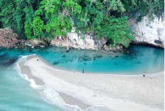 Fakta Unik Sungai Tamborasi, Sungai Terpendek Dunia dari Sulawesi Tenggara