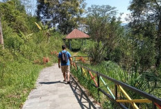 Terancam Diganti, Pengelola Pulau Harapan Lebong Belum Setor PAD Pariwisata