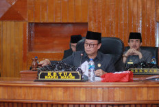 2 Kader PDIP Bersaing di Pilbup Bengkulu Selatan, Barli Halim versus Yevri Sudianto 