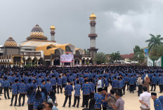 Skema PPPK Paruh Waktu Dinilai Aman Jaga Fiskal Bengkulu