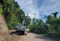 Bupati Bengkulu Selatan Usulkan Jalan Ulu Manna Jadi Jalan Logistik Nasional