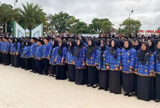 Alih Status 4.370 PPPK Paruh Waktu Pemprov Bengkulu Tunggu Juknis Pusat, APBD Jadi Pertimbangan