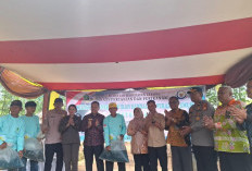 Bupati Lebong Tebar 428 Ribu Bibit Ikan Mas