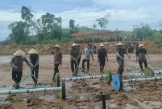 Potensi Cetak Sawah Rakyat Seluma 2026 Capai 800 Hektare