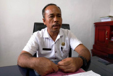 Penerima Program Replanting Wajib Tanam Padi Gogo