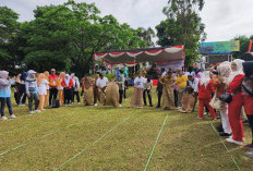 Bupati Kepahiang Adu Cepat Balap Karung dengan Jajaran 
