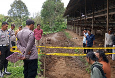  Identitas Tengkorak di Durian Depun Masih Misteri, Ada 3 Terkubur dalam Kendi 