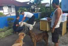 Distankan Rejang Lebong Tambah Stok Vaksin Rabies Sebanyak 4.000 Dosis