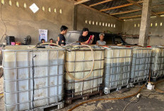 Timbun dan Jual Biosolar 3,5 Ton, Warga Rejang Lebong Ditangkap