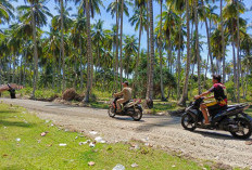  Habiskan Rp 9,4 miliar, Pemkab Kaur Bangun Akses Wisata dan Tambak Udang