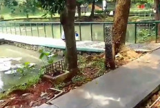 Pilihan Healing dengan Rating Tertinggi! Berikut 4 Destinasi Wisata Gratis Terbaik di Depok 2025