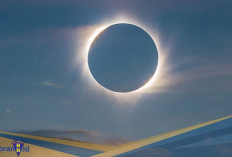 Pernah Melintasi Indonesia! Berikut 4 Fakta Gerhana Matahari Cincin
