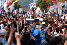 Berupaya UKT Gratis ke Depan, Ini Langkah Presiden Terpilih Prabowo 