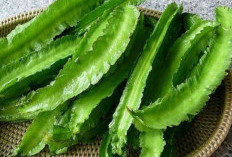 10 Khasiat Sayur Kecipir, Bikin Wajah Kamu Awet Muda dan Kulit Glowing Abis!