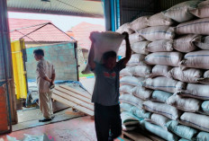 Capai 22 Ton, Stok Beras Cadangan Pangan di Rejang Lebong Belum Terpakai 