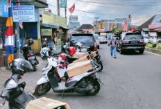  Pemkab Rejang Lebong Minta Pungutan PAD Segera Disetor,  Iwan: Jangan Sampai Diperam