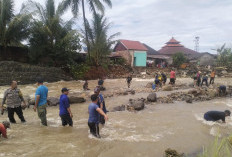 Akar Masalah Banjir di Lebong Masih Ditelusuri, Pembangunan Tembok DAS Fokus Utama