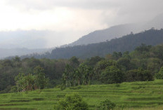 Sumatera Dikelilingi 40 Gunung Termasuk Bengkulu, Ada yang Baru Meletus