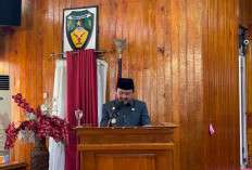 Sampaikan Raperda Tentang RPJMD, Wabup Yevri Utamakan Kolaborasi
