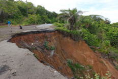 Jalan Abrasi di Desa Selolong Bengkulu Utara Mulai Dibangun, Proyek Jembatan Tunggu Mediasi 
