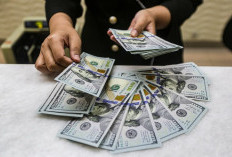 BI Tingkatkan Daya Tarik Aset Rupiah, Nilai Tukar Semakin Terpuruk Terhadap Dolar AS 