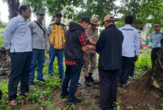 Pembangunan Sekolah Rakyat di Bengkulu Selatan Terkendala Lahan