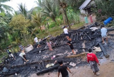 Diduga Korsleting Arus Listrik, Rumah Papan Milik Warga Lubuk Resam Diratakan Api