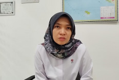 Saham dan Reksa Dana Diprediksi Tetap Primadona Investor Bengkulu 2026