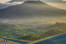 Miliki Tiga Puncak yang Disakralkan! Berikut 5 Fakta Gunung Lawu